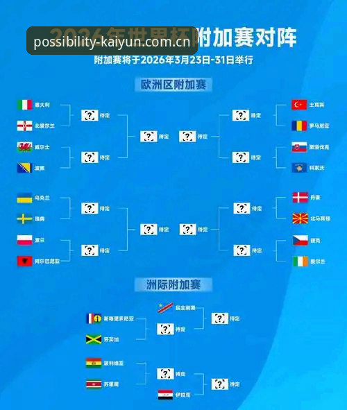 2026世界杯观赛体验全面评测：签证危机下的“冷场”困境与破局思考